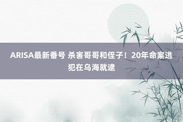 ARISA最新番号 杀害哥哥和侄子！20年命案逃犯在乌海就逮