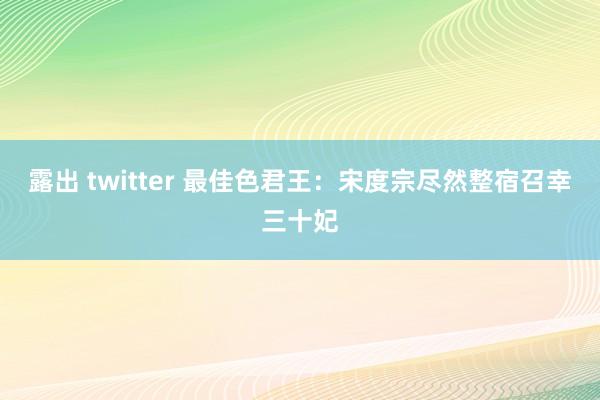 露出 twitter 最佳色君王：宋度宗尽然整宿召幸三十妃