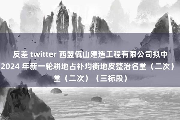 反差 twitter 西盟佤山建造工程有限公司拟中标普洱市 2024 年新一轮耕地占补均衡地皮整治名堂（二次）（三标段）