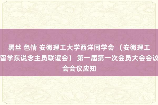 黑丝 色情 安徽理工大学西洋同学会 （安徽理工大学留学东说念主员联谊会） 第一届第一次会员大会会议应知