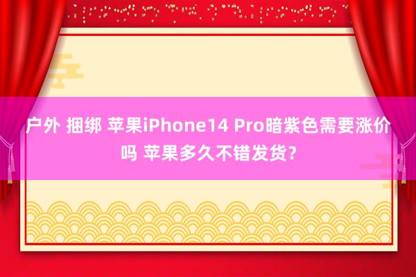 户外 捆绑 苹果iPhone14 Pro暗紫色需要涨价吗 苹果多久不错发货？